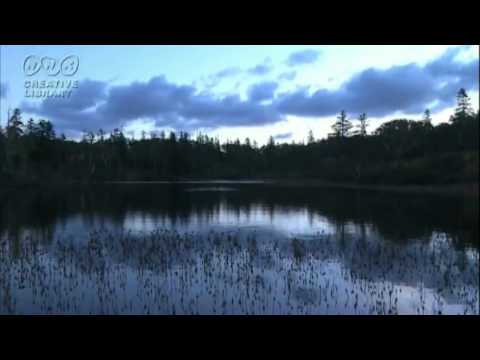 Impulsive Drive - Blue Skies (Bjorn Akesson Remix)[HD]