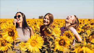 Sunflower Happiness Ringtone | Instrumental Ringtones