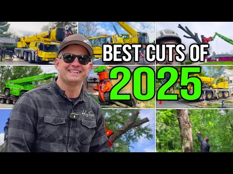 So Smooth It Looks Easy | Our Best Tree Removals of 2025