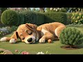 Digger Dog