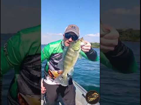 Pescaria em Miguelópolis #pescaria #pesca