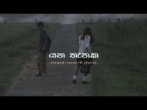 Yana Thanaka (Slowed+Reverb) / lyrics // M Status
