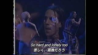 【和訳】My Friends ‐ Red Hot Chili Peppers (Live)