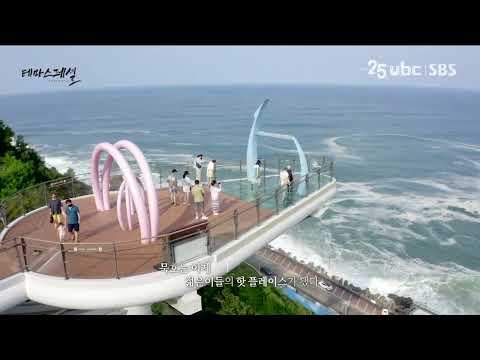 [테마스페셜] 강원와유-홍도를 만나다