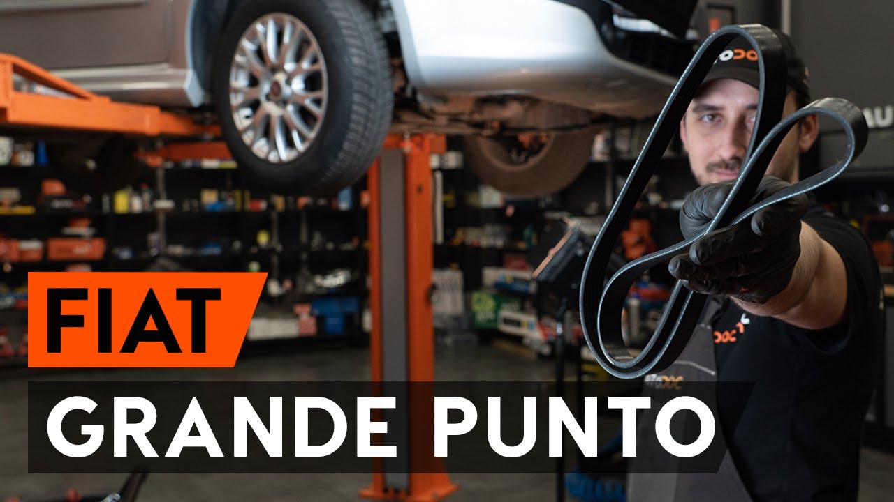 Comment changer : courroie poly V sur Fiat Punto 199 - Guide de remplacement