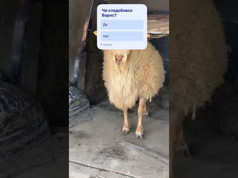 13 марта 2026 г.