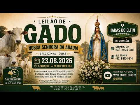 LEILÃO DE GADO - CALDAZINHA GOIÁS - PARÓQUIA NOSSA SENHORA D'ABADIA 23/08/2026