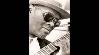 rev. Gary Davis - Civil War Marsh