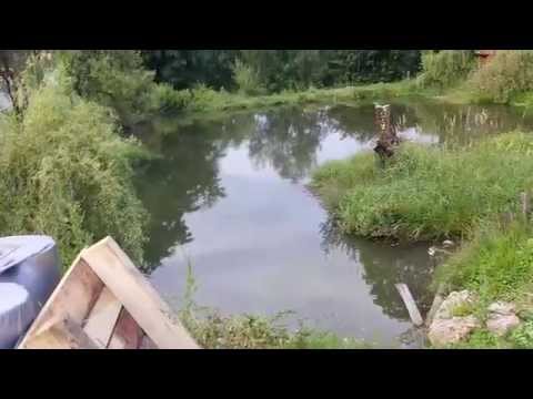 Pastravarie & pensiune Mara, Pintea Haiducul