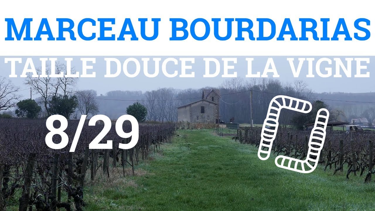 8/29 - M. BOURDARIAS - Taille Douce de la Vigne - Une Plante ne cicatrise pas
