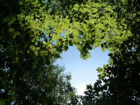 Naturezando - Autor e Intérprete Carlos Bandeira