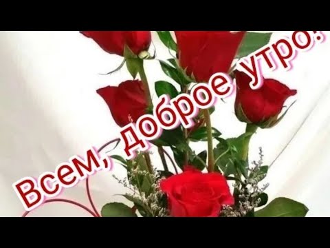 💞Доброе утро.Хорошего дня и отличного настроения.💞