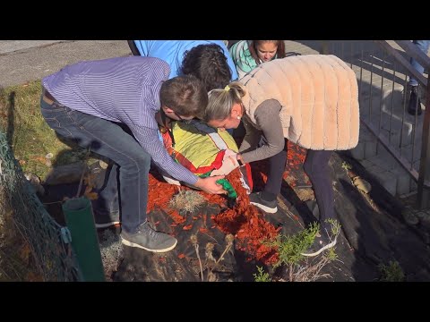 Mladí pre Prievidzu