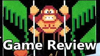Donkey Kong 3 NES Review - The No Swear Gamer Ep 333