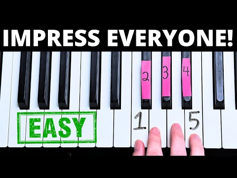 10 Effortless Songs Any Beginner Can Master