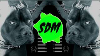 JOYRYDE - NEW BREED (feat. Darnell Williams)