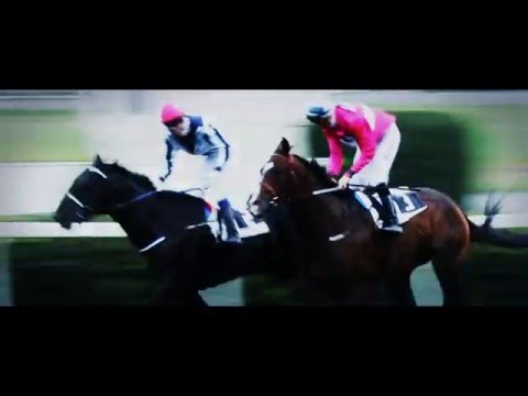 European Jockeys' Cup 2016 - Official Teaser