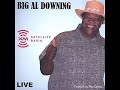 Big Al Downing - Boll Weevil (Live)