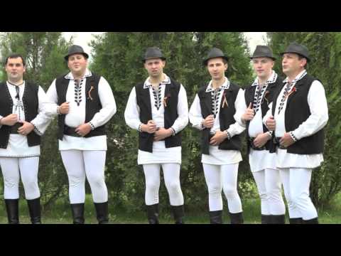 Ansamblul Ritmuri Zărăndene - Grup bărbați -  De la Brad la Baita