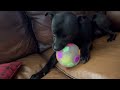 Indestructible Dog Ball For Aggressive Chewers Ultra Bounce Rubber Toy For Fetch Training