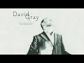 David Gray - Indeed I Will (Official Audio)