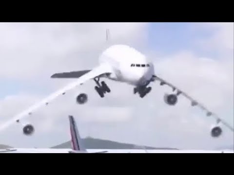 Air France plane dancing because it saw a bird