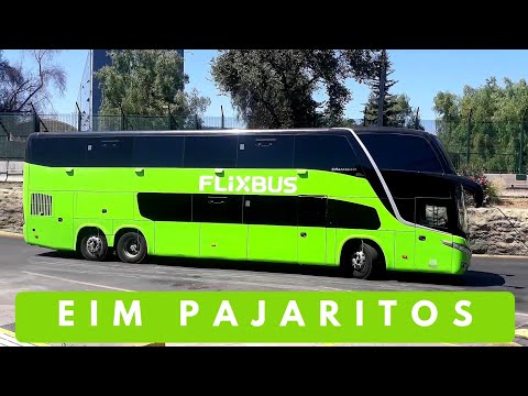 Compilado de Buses Interurbanos: EIM Pajaritos.