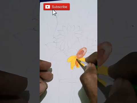 My first vice video recorded , simple and fast demonstration new water colour paper..