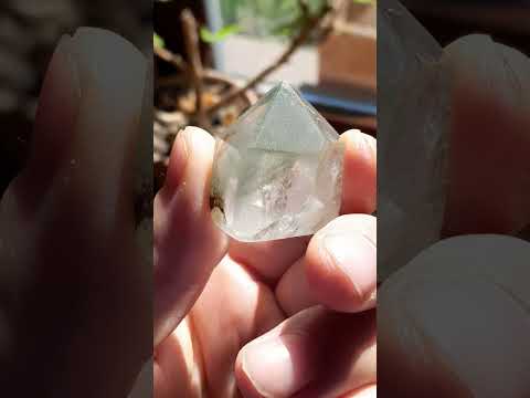 Video Drak Septaria   8cm