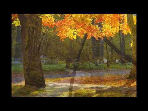 Những Tình Khúc Nổi Tiếng Của Nhạc Sĩ PHÚ QUANG