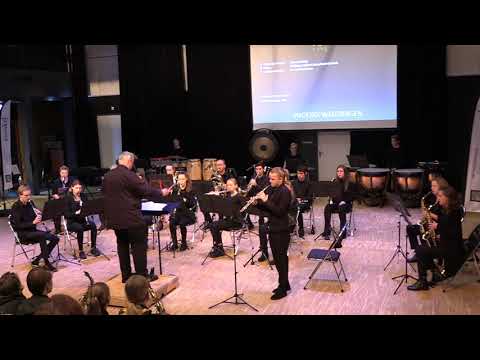 Yellow (Coldplay, arr. Jones/Ummels)) - Sara Visser, hobo en TOP o.l.v. Hans Tobel