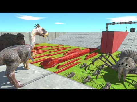 Who Can Survive ? Dinosaurs And Animal Jump on Titanoboa or Saber-Toothed Spider