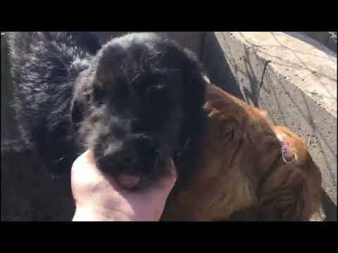 Matix, Nazira und Blanca