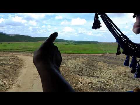 CANAL CICERO PRANCHETA DIRETO DÁ USINA BIRITINGA MESSIAS AL 22 1125