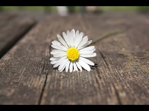 Wari ucyuye igihe (+lyrics) - Yustini Mugabo - Rwanda