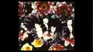 Flesh For Lulu - Time and Space