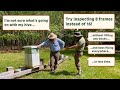 New Beekeeper? End The Confusion! Lift Fewer Boxes, Disrupt Fewer Bees, And Inspect Fewer Frames