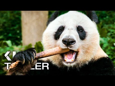 MOON, DER PANDA Trailer 2 German Deutsch (2025)