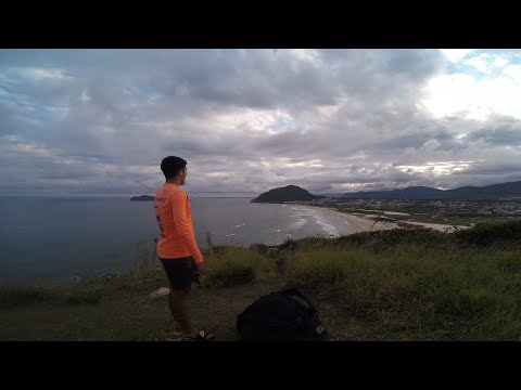 I Don't Wanna Wait | Leofly