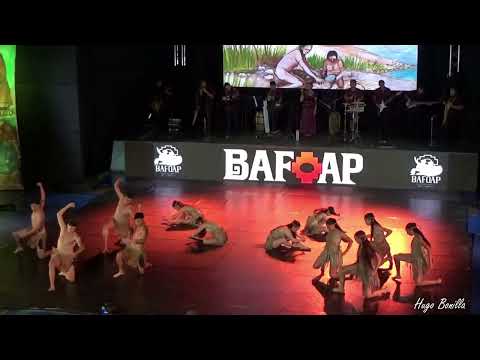 Gala de Ballet Folclórico de Arica y Parinacota 2025 (2)