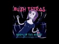 BUSH TETRAS : "Boom in the Night" - SPECTRES SONORES BUSH TETRAS : "Boom in the Night"