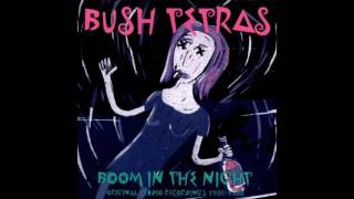 BUSH TETRAS : "Boom in the Night"