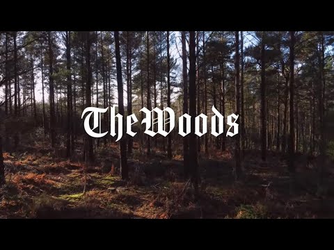 Griz-O - The Woodz (Music Video)