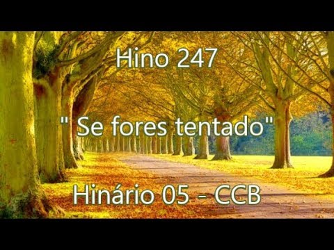 Hino 247  -  Se fores tentado - H5  CCB