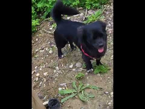 Friends meeting in "Sticlarie Park"
