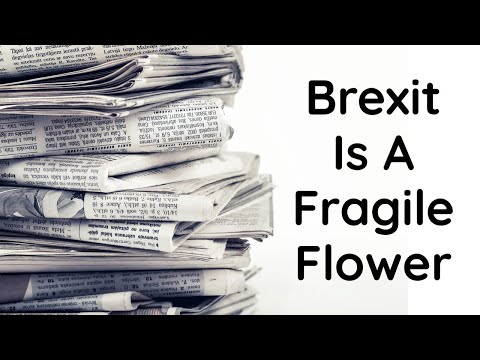 Telegraph FEAR For Fragile Flower Brexit In Labour Govt