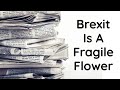 Telegraph FEAR For Fragile Flower Brexit In Labour Govt