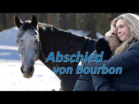 Abschied von Bourbon - 3 Monate intensive Arbeit mit dem sympathischen Schimmel gehen zu Ende
