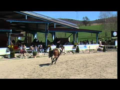 Comme il faut 6 - Tatjana Trefzer