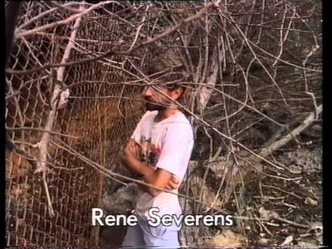 25 (1991) De wereld van Boudewijn Büch - Curaçao